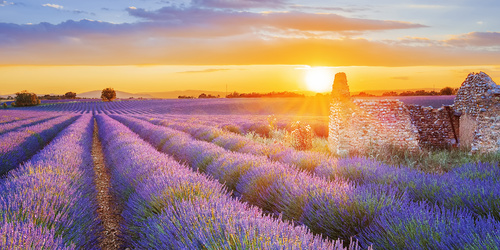 Provence stílusú dekoráció