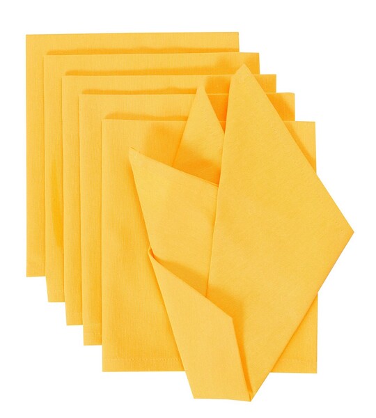 Set napkins 6pcs 42x42cm Loneta 133-40