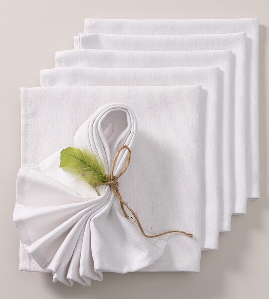 Set napkins 6pcs 42x42 182-12