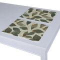 Set of 2 Placemats