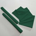 Set napkins 6 pcs 42 x 42 Loneta 133-18